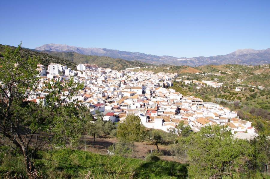 Guaro Landscape Malaga Andalucia